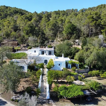 Llorenc Ibiza *